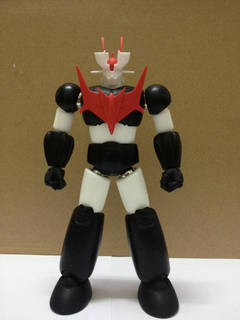 z01.jpg